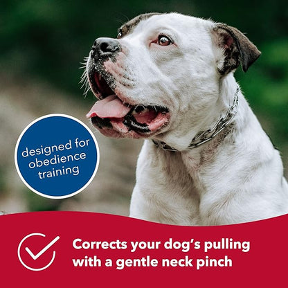 Herm Sprenger Chrome Plated Prong Dog Training Collar Ultra-Plus Pet Pinch Collar with Swivel No-Pull Collar for Dogs Made in Germany