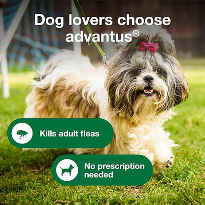 Advantus Dog Fast Acting Oral Flea Treatment Soft Chewable 4 - 22 lbs. | 30 ct.