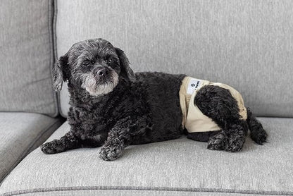 Pet Parents® Washable Dog Diapers (3pack) + Extendrs® of Durable Doggie Diapers, Premium Dog Diapers Female (X-Small, Spruce)