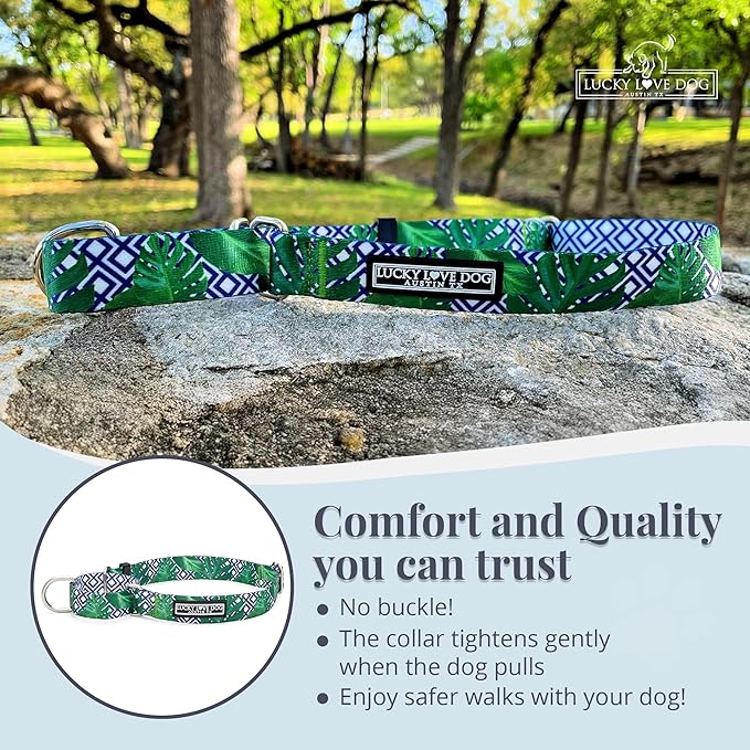 Lucky Love Dog Martingale Collar, Premium No Slip Martingale Collar for Small Boy Dogs, Great for Whippets, Greyhounds, and More (Small, Blue Laguna)