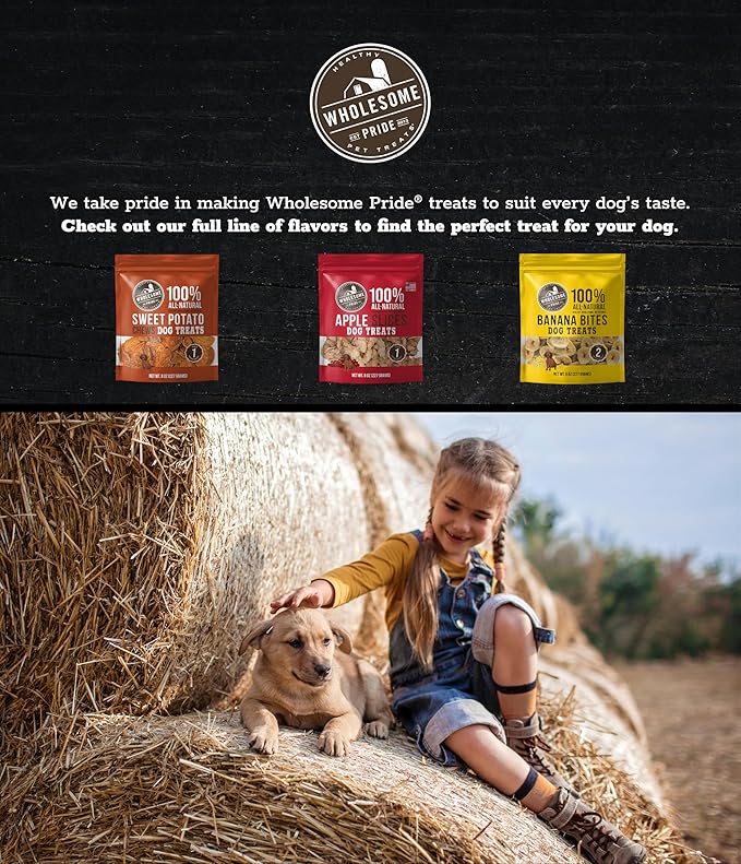 Wholesome Pride Sweet Potato Fries All-Natural Single Ingredient Dog Treats, 16 oz