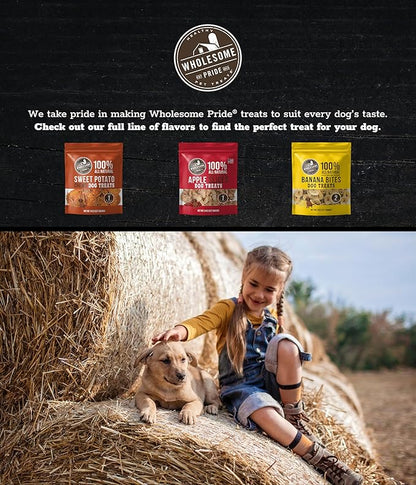Wholesome Pride Sweet Potato Fries All-Natural Single Ingredient Dog Treats, 16 oz
