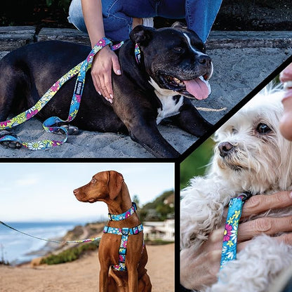 Wolfgang Heavy Duty Dog Leash, Pull-Tested for Walking & Training, LazyDaisy Print, Large