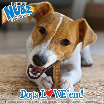 Nylabone Nubz Wild Natural Dog Chew Treats for Small Dogs, Long Lasting Dog Chew Bones Made in USA, Bison Flavor, for Dogs Up to 25 lbs. (4 Count)