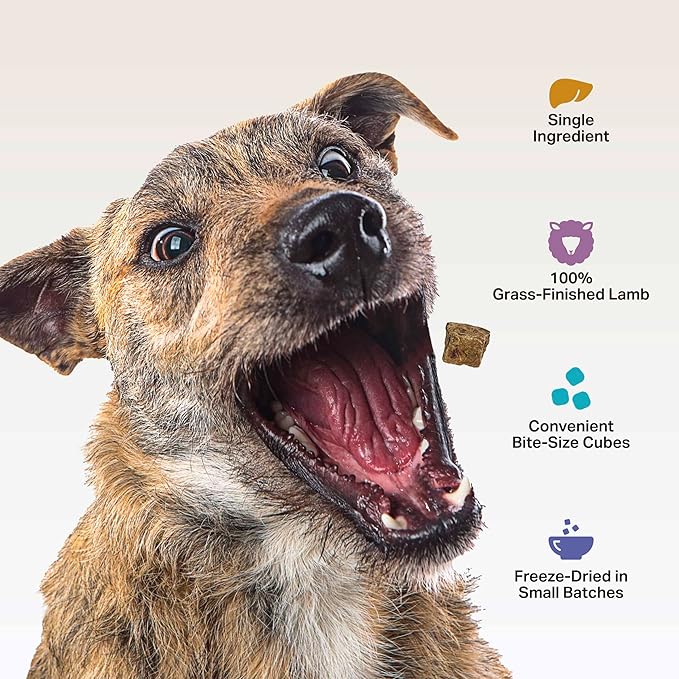 FOUR LEAF ROVER Beef Liver Dog Treats - Grass Finished New Zealand Beef Liver - Raw Freeze Dried Single Ingredient, No Additives - Made in USA - 4 Oz Bag
