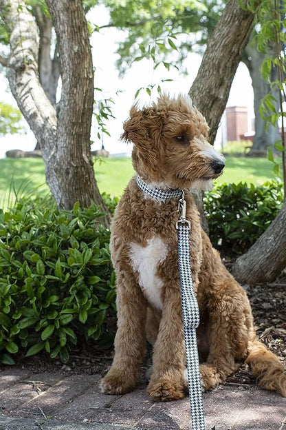 Country Brook Petz - Houndstooth Everyday Dog Collar and Leash - Sports and Athletics Collection Featuring Spirited Designs (1 Inch, Medium)