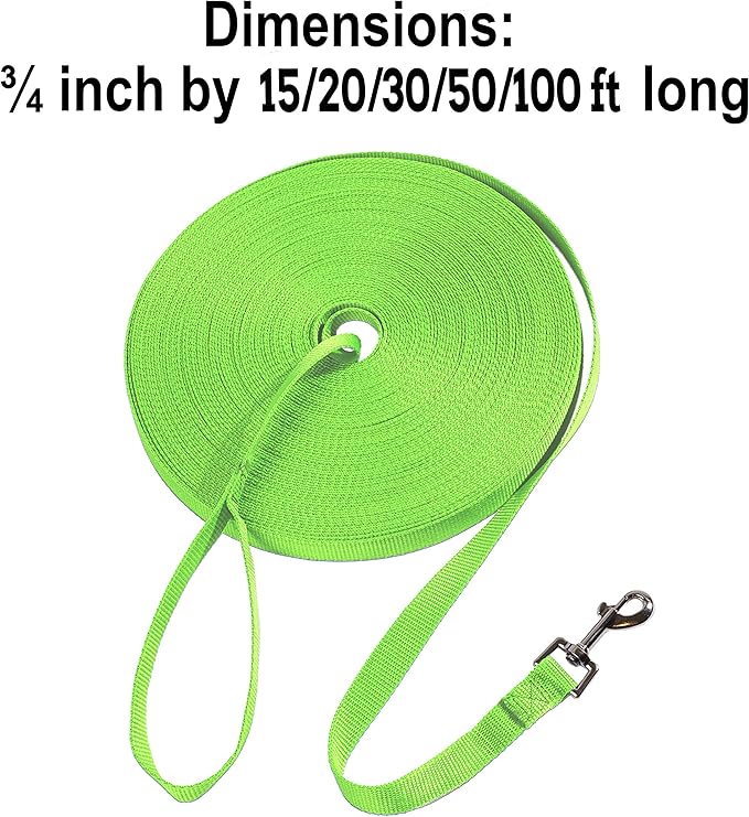 Hi Kiss Dog/Puppy Obedience Recall Training Agility Lead - 15ft 20ft 30ft 50ft 100ft Training Leash - Great for Training, Play, Camping, or Backyard (15 Feet, Green)