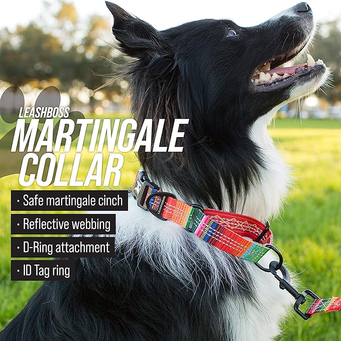 Leashboss Martingale Collar for Dogs | Reflective Nylon Dog Collar for Large Dogs, Medium and Small Dogs | No Pull Pet Training Collar Small | Quick Release Buckle, Adjustable Pet Collar