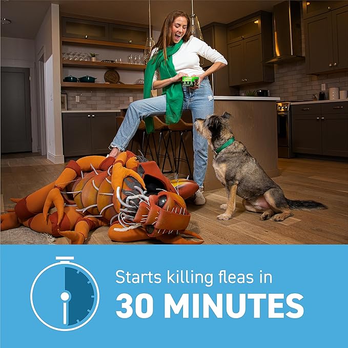 Capstar (Nitenpyram) Fast-Acting Oral Flea Treatment for Dogs 2-25 Lbs, Vet-Recommended Medication Tablets, Flea Tablets for Dogs Start Killing in 30 Minutes, 12 Doses (Includes Two 6-Count Boxes)