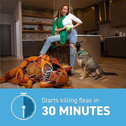 Capstar (Nitenpyram) Fast-Acting Oral Flea Treatment for Dogs 2-25 Lbs, Vet-Recommended Medication Tablets, Flea Tablets for Dogs Start Killing in 30 Minutes, 12 Doses (Includes Two 6-Count Boxes)