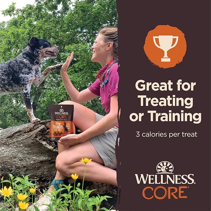 Wellness CORE Tiny Trainers Dog Treats,Natural,Training Treat,Grain Free,Turkey & Pomegranate (6 Ounce Bag),(Pack of 2)