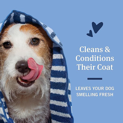 PetArmor Flea & Tick Protection Oatmeal Shampoo for Dogs, Hawaiian Ginger Scent, 18 oz (Pack of 2)