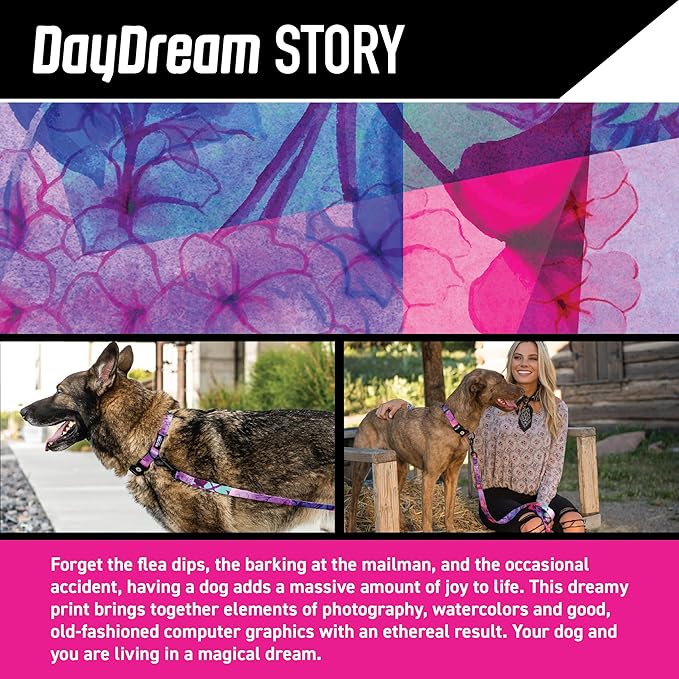 Wolfgang Heavy Duty Martingale Dog Collar with Quick Release Nylon Buckle for Walking & Training, Daydream Print, Large