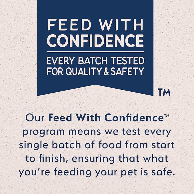 Natural Balance Limited Ingredient Mini-Rewards Salmon Grain-Free Dog Training Treats for Dogs | 5.3 Ounce Canister (Pack of 2)