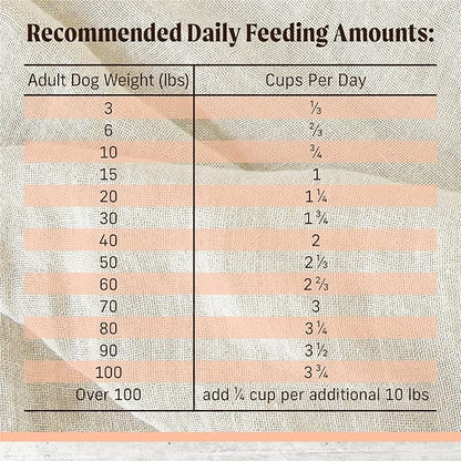 Merrick Limited Ingredient Diet Premium And Natural Kibble With Healthy Grains, Salmon And Brown Rice Dog Food - 22.0 lb. Bag