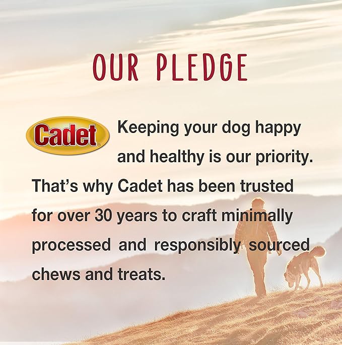 Cadet Stuffed Shin Bone, Long-Lasting Dog Chew Bones for Aggressive Chewers, High Protein Filled Bone Dental Chew for Dogs, Bacon & Cheese Flavor Filling, 3-4" for Small Dogs