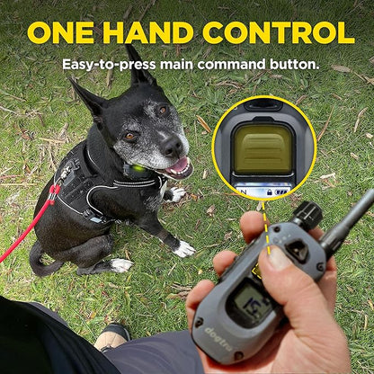Dogtra 280X 2-Dogs E-Collar with Remote [New Edition] 10 lbs+, 1/2 Mile Range, LED Light, 100 Levels of Control for Stubborn Dogs, Waterproof, Boost for Quick Recall, Vibration, Safety Lock & Tone