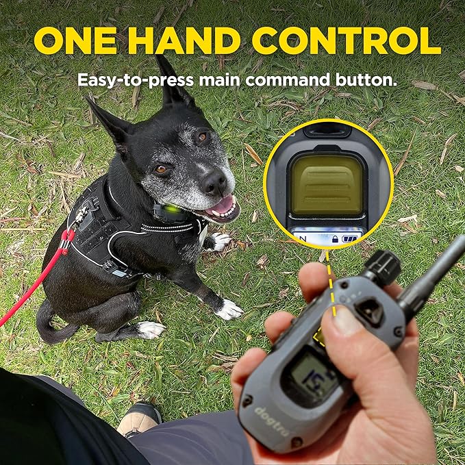 Dogtra X-Series X1 E-Collar Remote Transmitter Only (Compatible with 280X) 10 lbs+, 1/2 Mile Range, LED Light, 100 Levels of Precise Control for Stubborn Dogs, Waterproof, Boost for Quick Recall