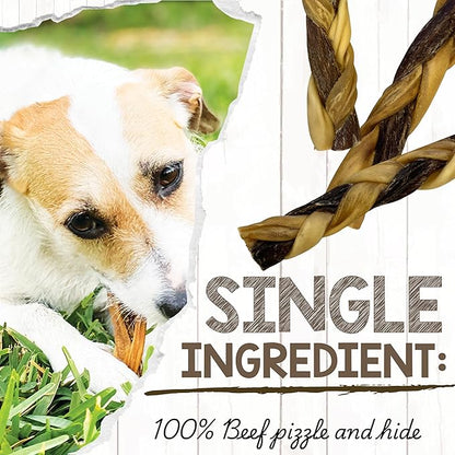 Nature Gnaws Braided Gnaws for Dogs 5-6" (12 Count) - Long Lasting for Small and Medium Dogs - Natural Beef Bully Stick Combo Braids - Rawhide Free