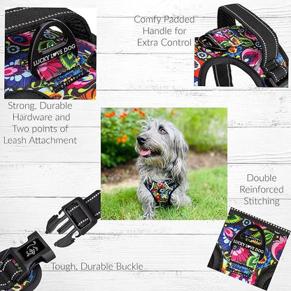 Lucky Love Dog No Pull Dog Harness, Adjustable and Easy to Walk, Cute Patterned Harness for Small Male & Female Dogs - Blackbird, XS