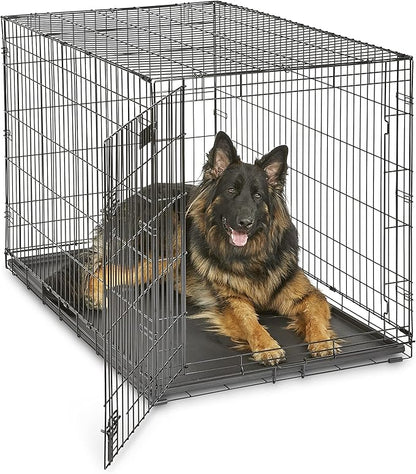 MidWest Homes for Pets 48-Inch iCrate for Extra-Large Breeds, 90-110 lbs, Single Door Folding Dog Crate with Divider Panel, Leak-Proof Tray & Secure Latches, Portable, Durable & Easy to Assemble