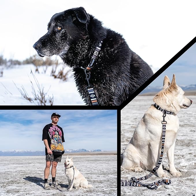 Wolfgang Heavy Duty Dog Leash, Pull-Tested to Over 800 lbs for Walking & Training, NewMoon Print, Small