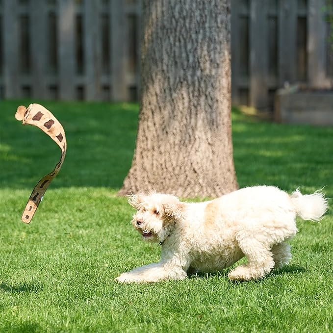 SPOT Skinneeez Leather Snake – 25in Stuffing-Free Dog Toy with Real Leather & 4 Squeakers, Durable Tug Toy for Light to Moderate Chewers, Great for Medium & Large Dogs