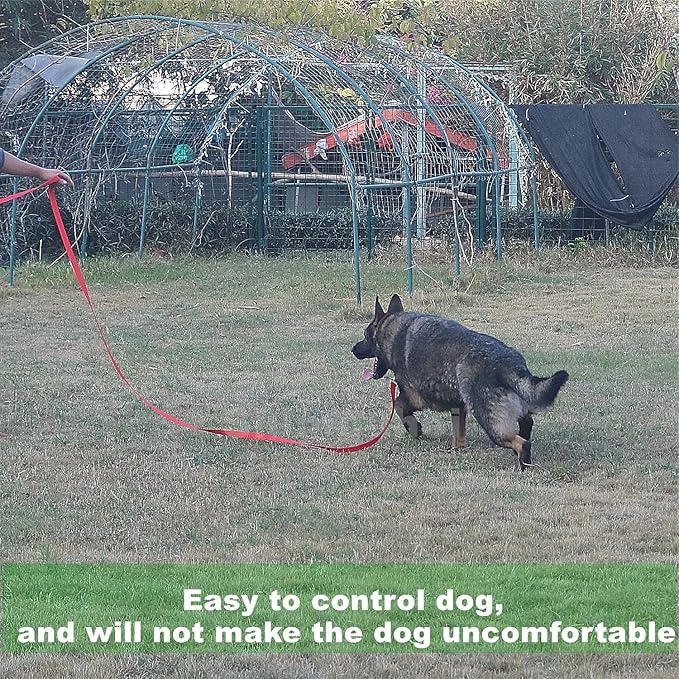 Strong Durable Nylon Dog Training Leash, 1 Inch Wide Traction Rope, 6 ft 10ft 15ft Long, for Small and Medium Dog (Black, 15 Feet)