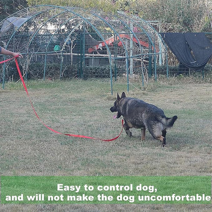 Strong Durable Nylon 10ft Long Dog Training Leash, Traction Rope, 1 Inch Wide, for Small and Medium Dog (Black, 10 Feet)