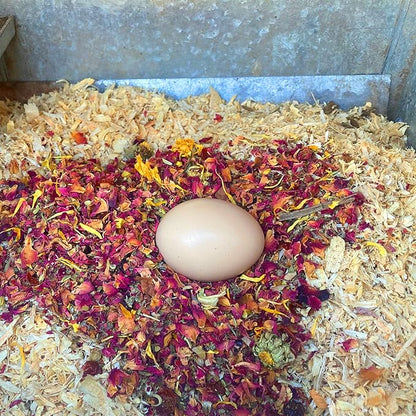 WormBGone Premium Backyard Chicken Nesting Herbs with Chili, Wormwood, Calendula, Rose Petals, Basil, Rosemary (1 Pound)