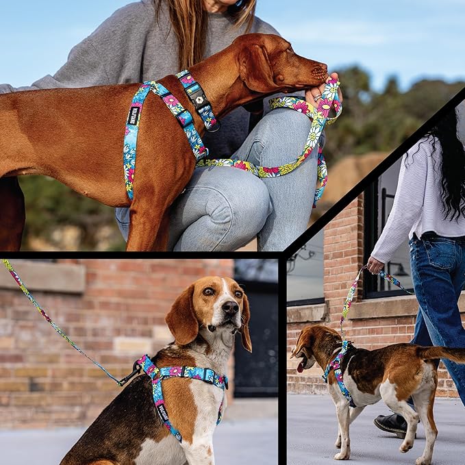 Wolfgang Heavy Duty Adjustable Dog Harness, Pull-Tested for Walking & Training, LazyDaisy Print, Small