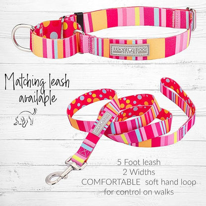 Lucky Love Dog Martingale Dog Collar - Adjustable, No-Slip, Durable, & Soft Webbing Collar for Male and Female Dogs Ideal for Training & Walking - Molly, Small