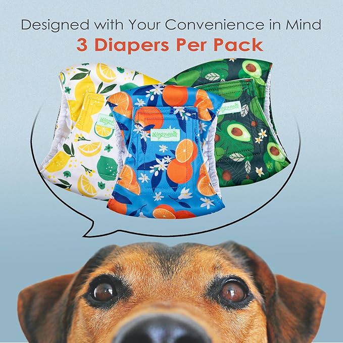 wegreeco Washable Male Dog Belly Band (Stylish Pattern)- Pack of 3 - Washable Male Dog Belly Wrap, Dog Diapers Male (Fruit, Large)