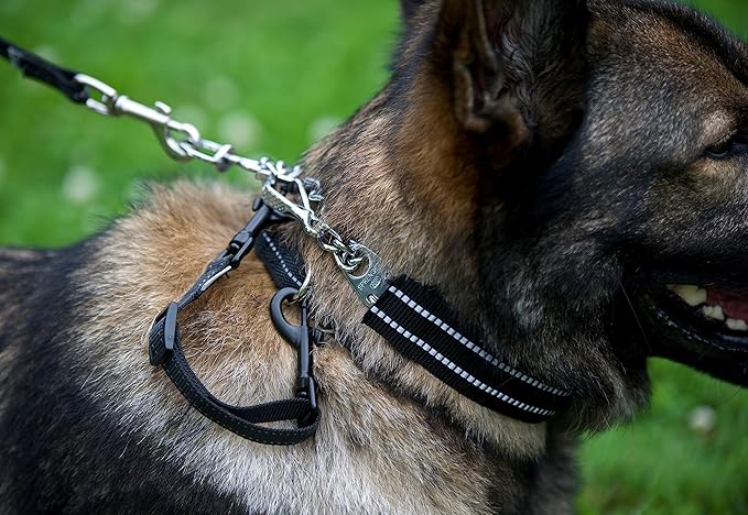 Hs Herm. Sprenger Prong Collar Safety Clip (Black) with Reflective Stripes 6"-8" - Pack of 1 Dog Leash Safety Strap - Enhanced Durability for Secure Leash Connection - Ideal for Safe Walk and Training