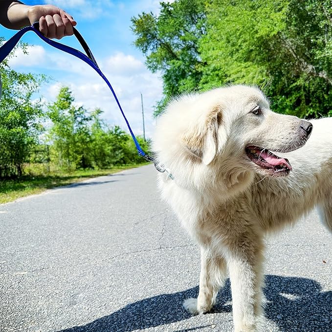 Joytale Dog Leash Heavy Duty for Large Dogs that Pull, Double Handle for Traffic Control, Double-Sided Reflective Leashes for Large Medium Dogs Night Safety, 5FT, Royal Blue