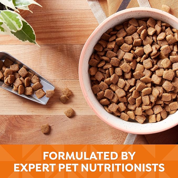 Nature′s Recipe Grain Free Chicken, Sweet Potato & Pumpkin Recipe Dry Dog Food, 4 lb. Bag
