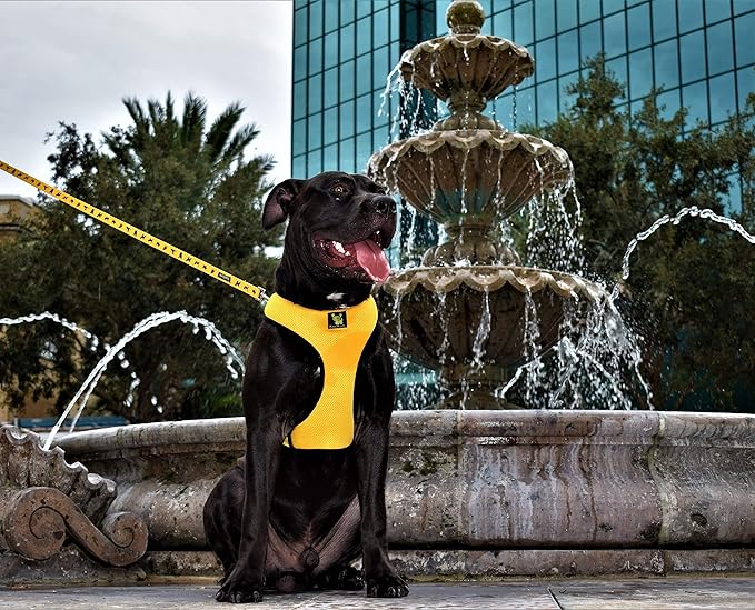 EcoBark Dog Leash - Soft & Reflective Comfort Training Leashes with Padded Handle - Strong Durable Heavy Duty - Training and Pulling for Small, Medium or Large Dogs (Yellow)