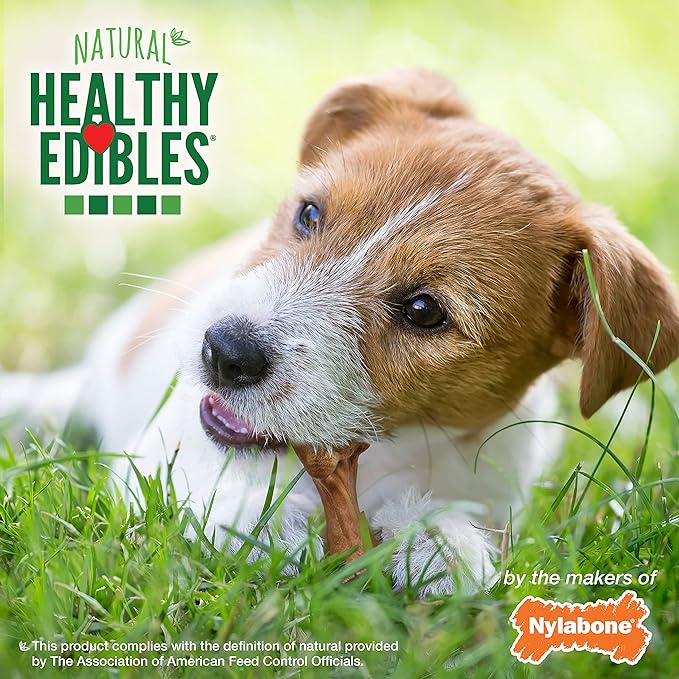 Nylabone Healthy Edibles WILD Natural Dog Chew Treats, Bison Flavor, Small Dogs Up to 20 lbs - Made in USA (16 Count)