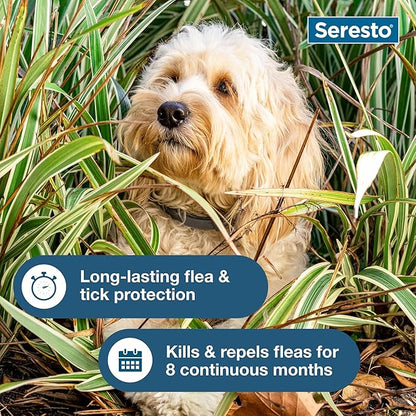 Seresto Small Dog Vet-Recommended Flea & Tick Treatment & Prevention Collar for Dogs Under 18 lbs. | 8 Months Protection