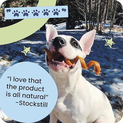 Pawstruck Natural 12” Braided Bully Sticks for Dogs - Tough, Long-Lasting, Rawhide-Free, Low Odor, Healthy Single Ingredient Chew Treat for Aggressive Chewers - 25 Count - Packaging May Vary