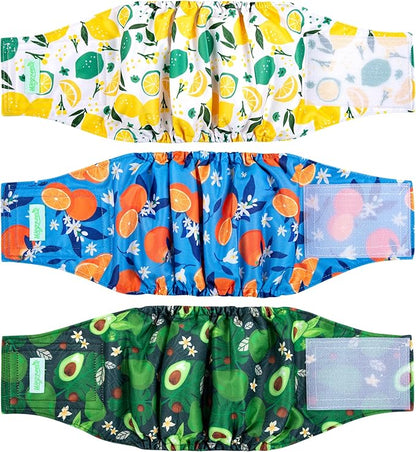 wegreeco Washable Male Dog Belly Band (Stylish Pattern)- Pack of 3 - Washable Male Dog Belly Wrap, Dog Diapers Male (Fruit, X-Large)