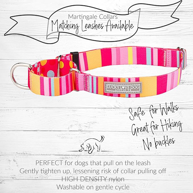 Lucky Love Dog Martingale Dog Collar - Adjustable, No-Slip, Durable, & Soft Webbing Collar for Male and Female Dogs Ideal for Training & Walking - Molly, Small