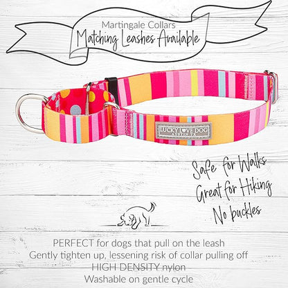Lucky Love Dog Martingale Dog Collar - Adjustable, No-Slip, Durable, & Soft Webbing Collar for Male and Female Dogs Ideal for Training & Walking - Molly, Small