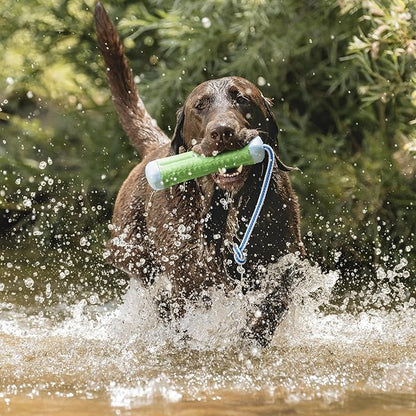Chuckit! Amphibious Bumper Floating Fetch Dog Toy For Waterplay, Small For Dogs Up To 60 lb, 1.62"L x 8.5” H x 3.5" W, Assorted