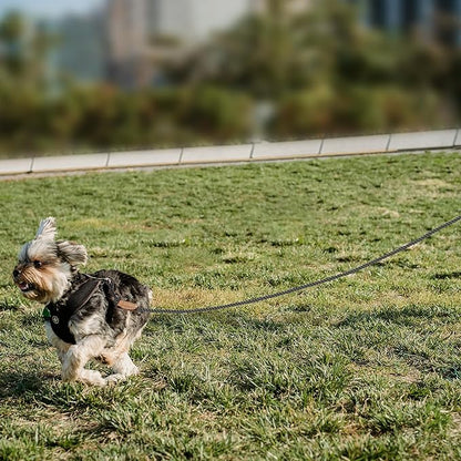 Mile High Life Dog Leash, Braided Cotton Rope Leashes with Leather Tip - Heavy Duty Metal Clasp, 4FT, 1/3" Thick - Wedding, Walking Leash for Small Medium Dogs(Dark Gray)