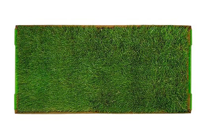 DoggieLawn XL - Real Grass Dog Pee Pad with Built-in Disposable Tray | No Cleaning, Odor-Free | Indoor Outdoor Potty Training for Puppies & Large Dogs | 48" x 24"