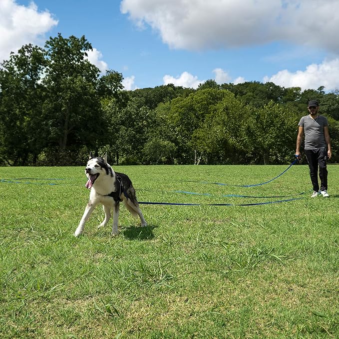 Hi Kiss Dog/Puppy Obedience Recall Training Agility Lead/ Leash - 15ft 20ft 30ft 50ft 100ft - Great for Play, Camping, or Backyard - Black