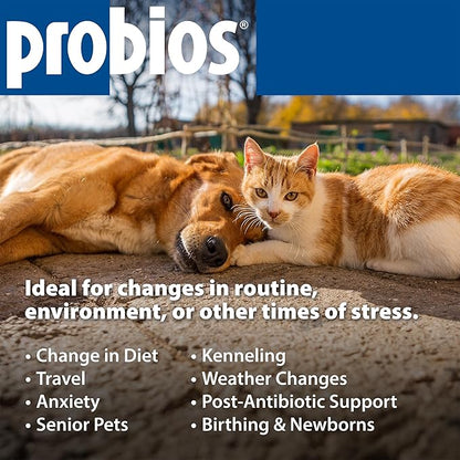Probios Digestive Support Chewables for Dogs, Daily Probiotic Supplement for Gut Health, Digestion & Immune Support, 1 lb (Pack of 2)
