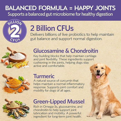 Fidobiotics Hip & Joint Support for Dogs with Probiotics – Glucosamine, Chondroitin, MSM & Green Lipped Mussel – Dog Joint Supplement Powder Food Topper for Mobility & Digestion (20 Servings)