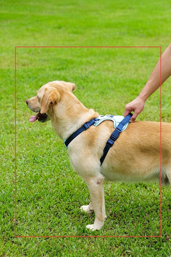 3 in 1 No Pull Dog Harness Leash and Collar Set, Soft Adjustable Dogs Vest Reflective and Comfortable Handle Blue X-Large